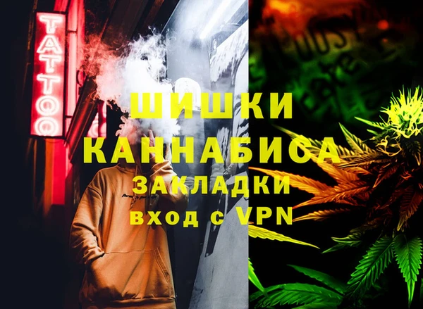 тгк Ельня