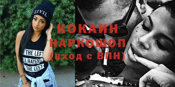 тгк Ельня