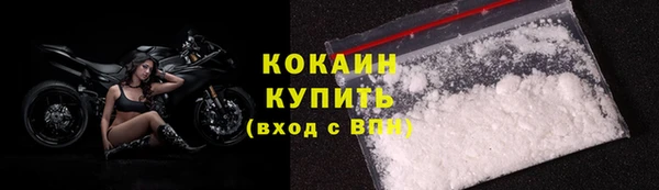 крисы Елизово