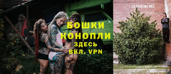 тгк Ельня