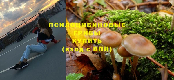 крисы Елизово