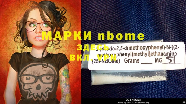 тгк Ельня