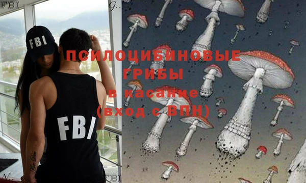 крисы Елизово