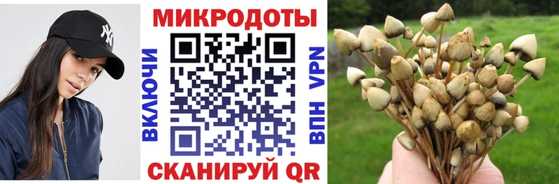Купить где  Верхняя Пышма  Псилоцибиновые грибы мухоморы 